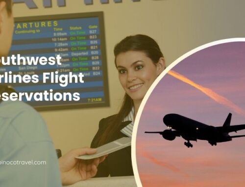 Southwest Airlines Reservations- Everything You Need To Know